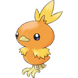 picture of torchic pokemon